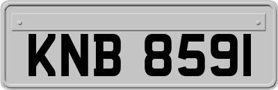 KNB8591