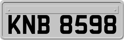 KNB8598