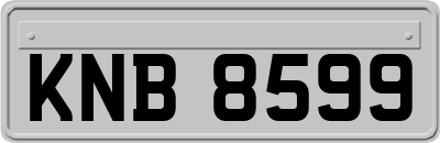 KNB8599