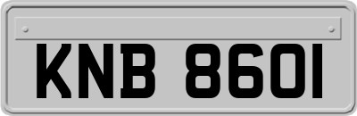 KNB8601