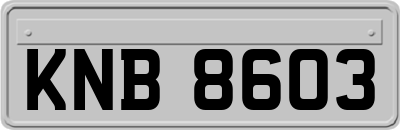 KNB8603