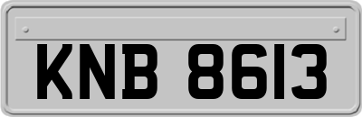 KNB8613