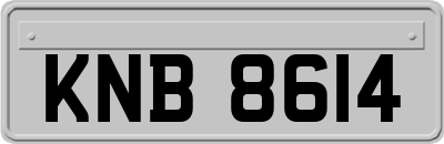 KNB8614