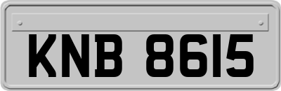 KNB8615