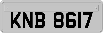 KNB8617