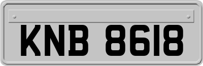 KNB8618