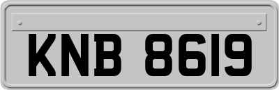 KNB8619