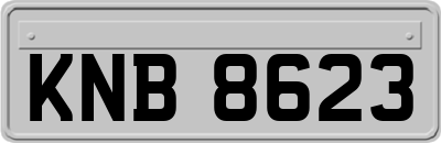 KNB8623