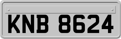 KNB8624