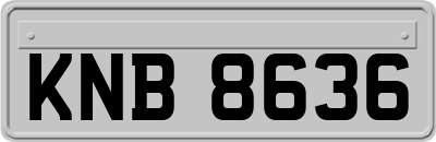 KNB8636