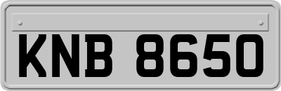 KNB8650