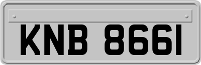 KNB8661