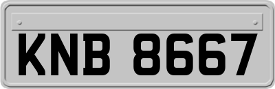 KNB8667