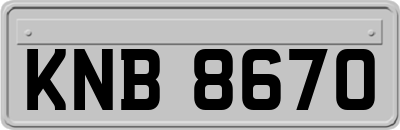 KNB8670