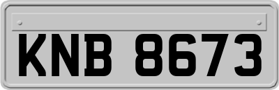 KNB8673