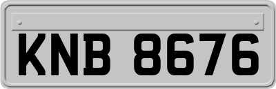 KNB8676