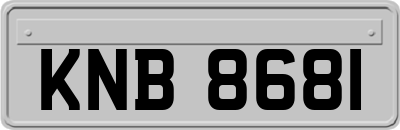 KNB8681