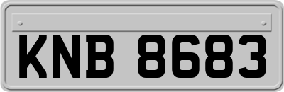 KNB8683