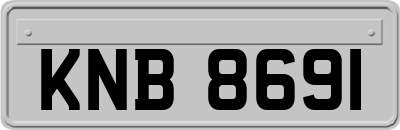 KNB8691