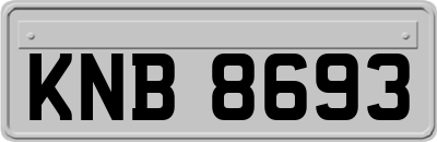 KNB8693