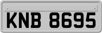 KNB8695