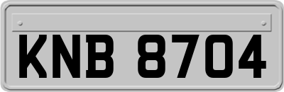 KNB8704