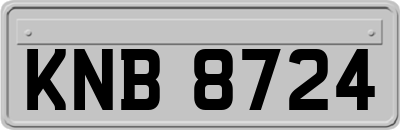 KNB8724