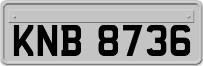 KNB8736