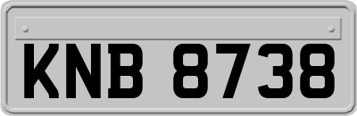 KNB8738