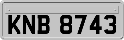 KNB8743