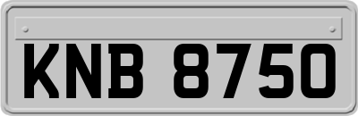 KNB8750