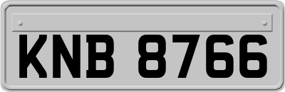 KNB8766