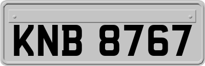 KNB8767