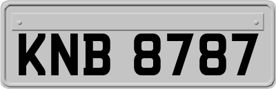 KNB8787