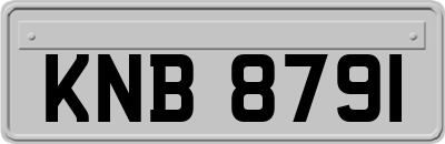 KNB8791