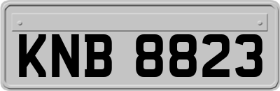 KNB8823