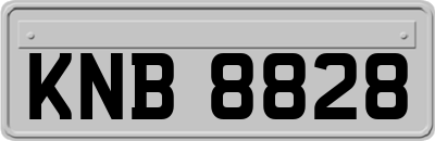 KNB8828