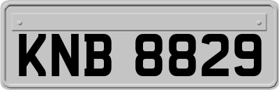 KNB8829