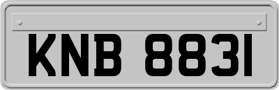 KNB8831