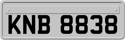 KNB8838