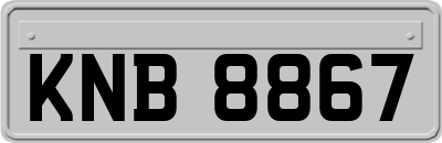 KNB8867