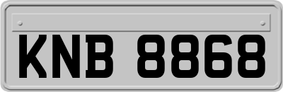 KNB8868