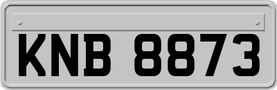 KNB8873