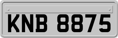 KNB8875