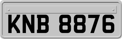 KNB8876