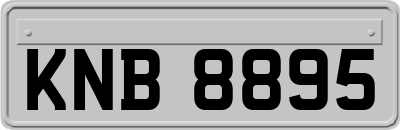 KNB8895