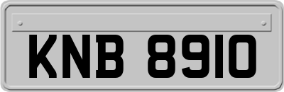 KNB8910