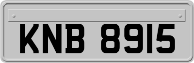 KNB8915