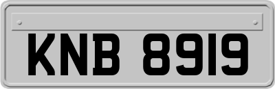 KNB8919