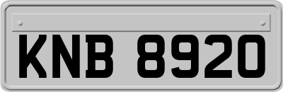 KNB8920